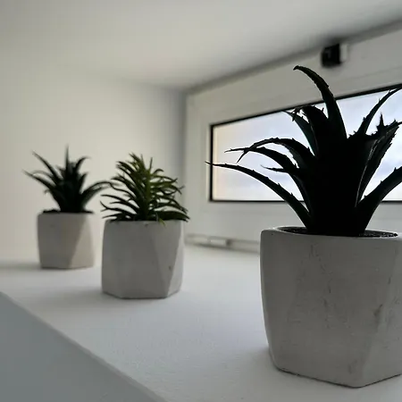 Apartment Ferreira's House Folhadosa